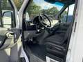 Mercedes-Benz Sprinter 313 CDI/L2/H2/Aut./KLIMA/AHK 2,8t/XENON Weiß - thumbnail 12