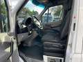 Mercedes-Benz Sprinter 313 CDI/L2/H2/Aut./KLIMA/AHK 2,8t/XENON Weiß - thumbnail 9