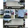 Mercedes-Benz Sprinter 313 CDI/L2/H2/Aut./KLIMA/AHK 2,8t/XENON Weiß - thumbnail 20
