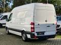 Mercedes-Benz Sprinter 313 CDI/L2/H2/Aut./KLIMA/AHK 2,8t/XENON Weiß - thumbnail 5