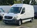 Mercedes-Benz Sprinter 313 CDI/L2/H2/Aut./KLIMA/AHK 2,8t/XENON Weiß - thumbnail 2