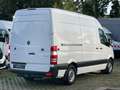 Mercedes-Benz Sprinter 313 CDI/L2/H2/Aut./KLIMA/AHK 2,8t/XENON Weiß - thumbnail 4