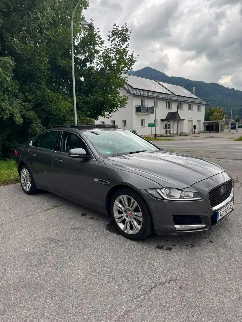 Jaguar XF Jaguar XF 20d Prestige | Panorama | Meridian | Grau - 1