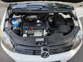 Volkswagen Golf Plus Golf VI Plus 1.4 TSI DSG Comfortline Alb - thumbnail 12