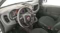 Fiat Panda 1.0 firefly hybrid Cross s&s 70cv 5p.ti Bianco - thumbnail 7