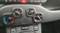 Fiat Panda 1.0 firefly hybrid Cross s&s 70cv 5p.ti Bianco - thumbnail 11
