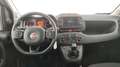 Fiat Panda 1.0 firefly hybrid Cross s&s 70cv 5p.ti Bianco - thumbnail 15