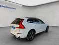 Volvo XC60 XC60 B4 R-Design Aut Rückfahrkamera AHK Google-Map Weiß - thumbnail 6