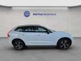 Volvo XC60 XC60 B4 R-Design Aut Rückfahrkamera AHK Google-Map Weiß - thumbnail 7