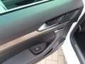 Volkswagen Passat 1.4 TSI DSG Highline Business R Adapt. Cruise Navi Weiß - thumbnail 13