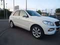 Mercedes-Benz ML 250 BlueTEC Blanc - thumbnail 2