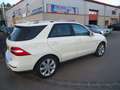 Mercedes-Benz ML 250 BlueTEC Blanc - thumbnail 5
