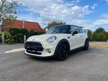 Cooper D Service Neu