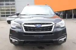 Subaru Forester fotografie Subaru Forester