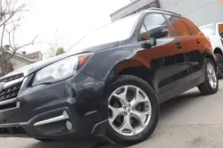 Subaru Forester fotografie Subaru Forester