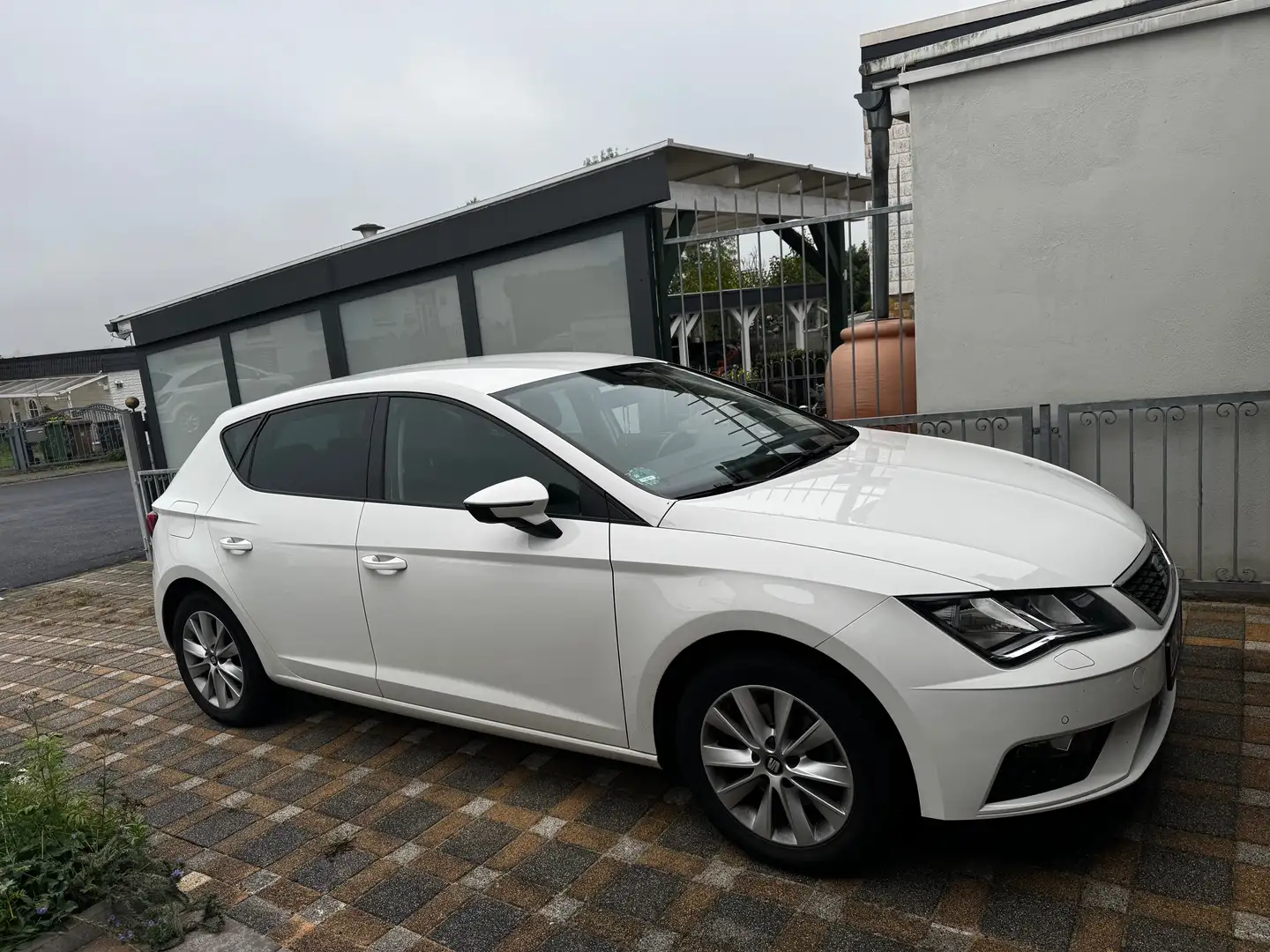 SEAT Leon Leon 5-Türer 1.5 TSI OPF Style Weiß - 1