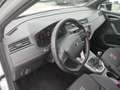 SEAT Arona ARONA FR 1.0 TSI NAVI VOLL-LED ACC SITZHEIZ. EPH Blanc - thumbnail 5