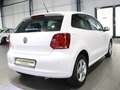 Volkswagen Polo 1.2 LIFE WHITE / KLIMAAUTOMATIK / ALLWETTER Wit - thumbnail 10