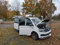 Volkswagen T6 California Beach. Top Zustand, viel Zubehör Weiß - thumbnail 23