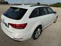 Audi A4 Avant 2.0 tdi Business Plus 150cv multitronic E5 - thumbnail 4