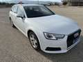Audi A4 Avant 2.0 tdi Business Plus 150cv multitronic E5 - thumbnail 1
