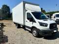 Ford Transit 2.0 TDI  SPONDA IDRA- MOTORE NUOVO !!EURO 6B Blanc - thumbnail 3
