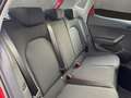 SEAT Ibiza Style 1.0 TSI 6-Gang Rot - thumbnail 17