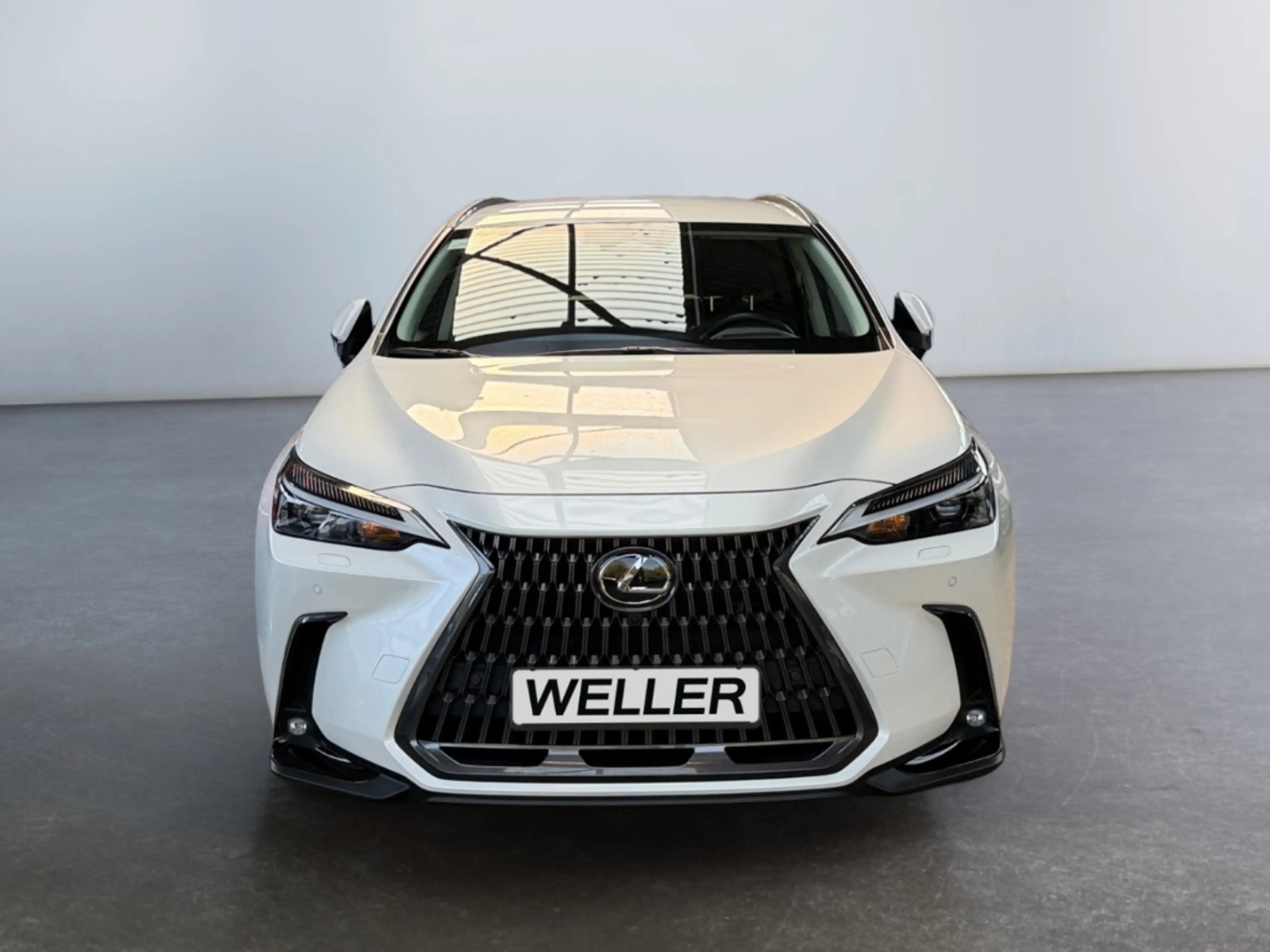 Lexus NX 450h+ Executive Line *360°*LED*4x4*PDC v.&h.* — photo 2