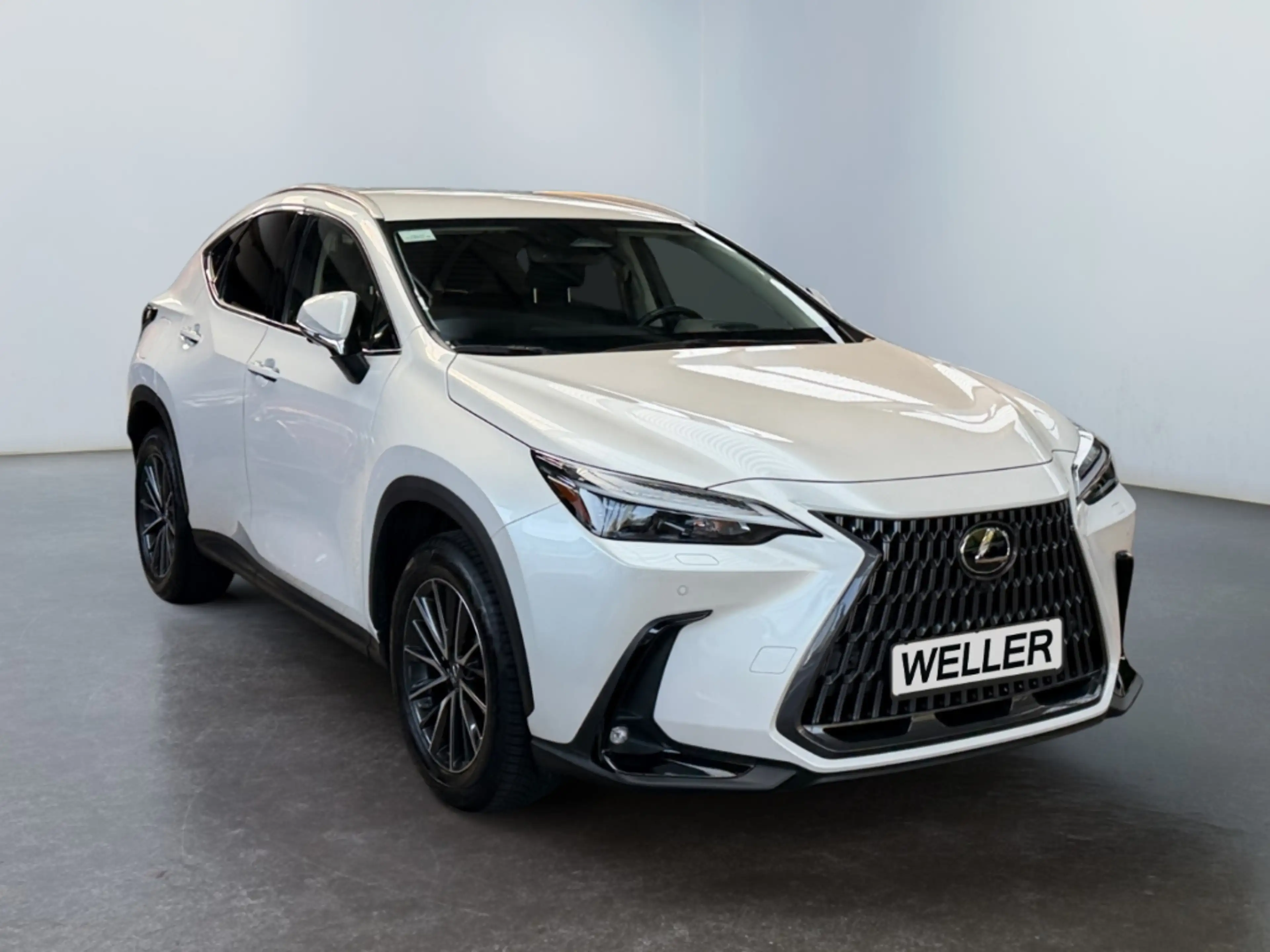 Lexus NX 450h+ Executive Line *360°*LED*4x4*PDC v.&h.* — photo 3