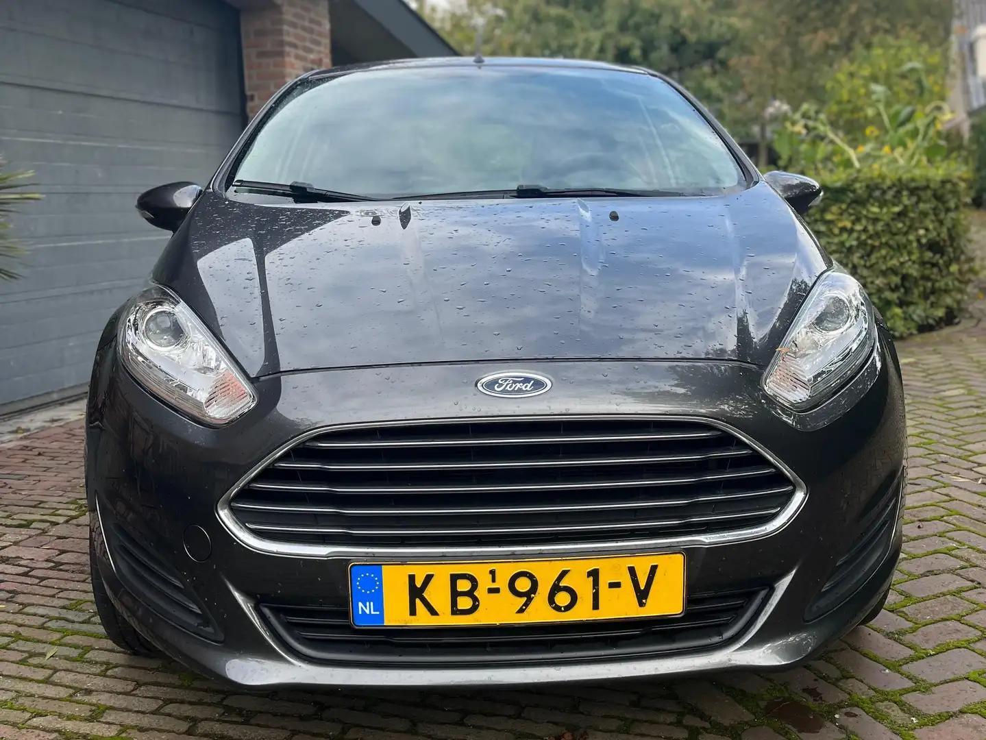 Ford Fiesta Fiesta 1.0 Style Grijs - 2
