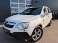 Opel Antara Cosmo 2,0 CDTI 4x4, PICKERL:10/2026, LEDER, KLI... Weiß - thumbnail 3