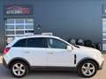 Opel Antara Cosmo 2,0 CDTI 4x4, PICKERL:10/2026, LEDER, KLI... Weiß - thumbnail 4