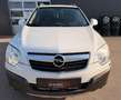 Opel Antara Cosmo 2,0 CDTI 4x4, PICKERL:10/2026, LEDER, KLI... Weiß - thumbnail 5