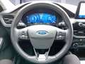Ford Kuga Kuga 2.5 Duratec FHEV TITANIUM Grau - thumbnail 11