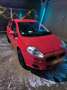 Fiat Grande Punto 1.2 8V Basis ( 09.2010->) Roşu - thumbnail 1
