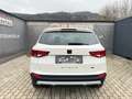 SEAT Ateca Allrad Ateca 2,0 TSI Xcellence 4WD DSG Weiß - thumbnail 5