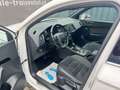 SEAT Ateca Allrad Ateca 2,0 TSI Xcellence 4WD DSG Weiß - thumbnail 15
