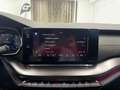 Skoda Octavia 2.0 TDI DPF RS Rot - thumbnail 21