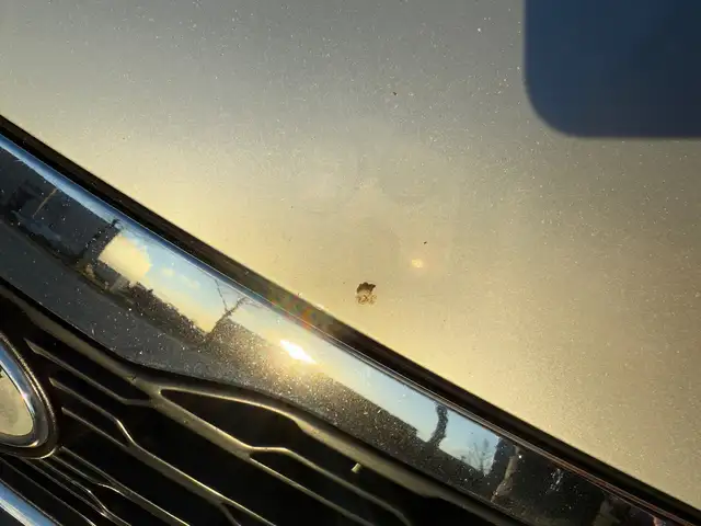 Kia Ceed view 8