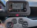Fiat Panda 1.0 hybrid City Life s&s 70cv 5p.ti Grigio - thumbnail 12