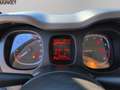 Fiat Panda 1.0 hybrid City Life s&s 70cv 5p.ti Grigio - thumbnail 11