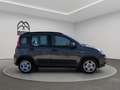 Fiat Panda 1.0 hybrid City Life s&s 70cv 5p.ti Grigio - thumbnail 4