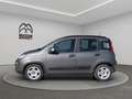 Fiat Panda 1.0 hybrid City Life s&s 70cv 5p.ti Grigio - thumbnail 5