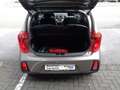Kia Picanto 1.0 Dream Team 1.HD*KLIMAAUT*ALU*S-HEFT Silber - thumbnail 8
