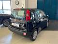Fiat Panda Panda 1.0 FireFly S&S Hybrid - PROMO SIRONIAUTO+ Nero - thumbnail 5