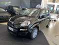 Fiat Panda Panda 1.0 FireFly S&S Hybrid - PROMO SIRONIAUTO+ Nero - thumbnail 1