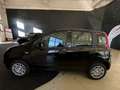 Fiat Panda Panda 1.0 FireFly S&S Hybrid - PROMO SIRONIAUTO+ Nero - thumbnail 3