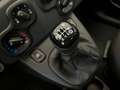 Fiat Panda Panda 1.0 FireFly S&S Hybrid - PROMO SIRONIAUTO+ Nero - thumbnail 12