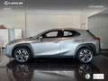 Lexus UX 250h Premium 2WD Zilver - thumbnail 13