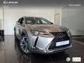Lexus UX 250h Premium 2WD Zilver - thumbnail 12